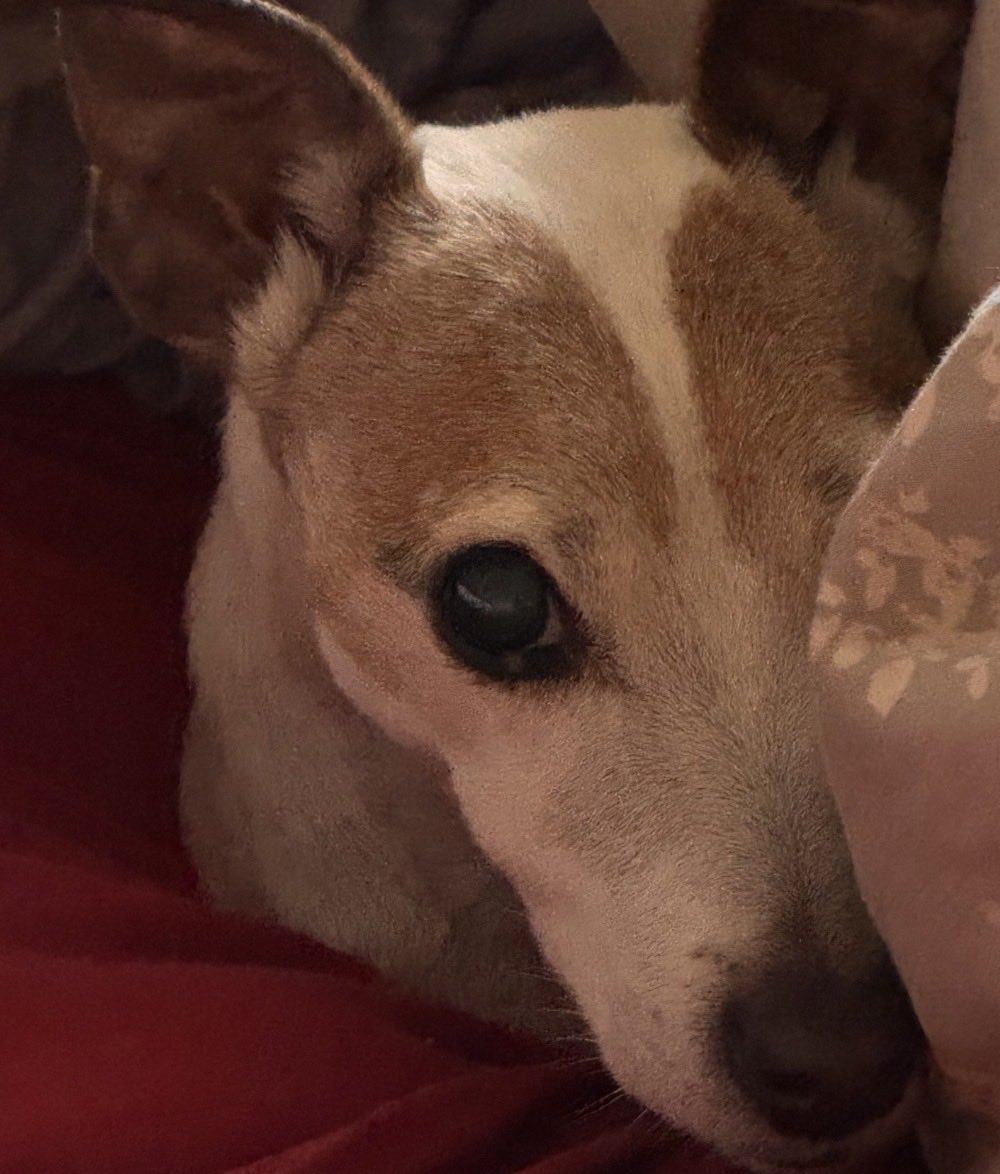 Let’s Always Choose 
To Live In The Light!!
NiteyNite Resister 
Sisters And Brothers!!
👁️Truly🐝🍁InYou💙🌊