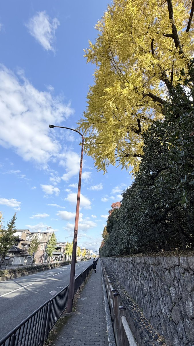 本日受験快晴也故確信合格