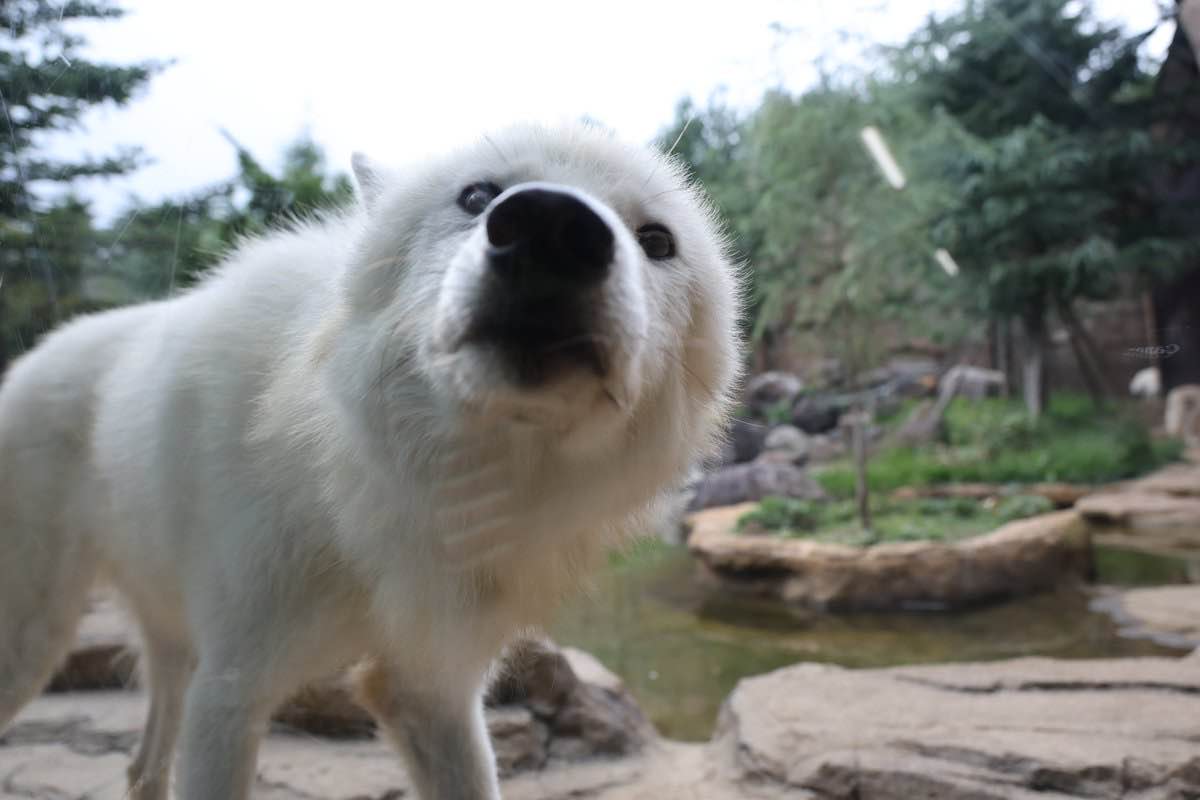 Mine are though and I'm not a twink so