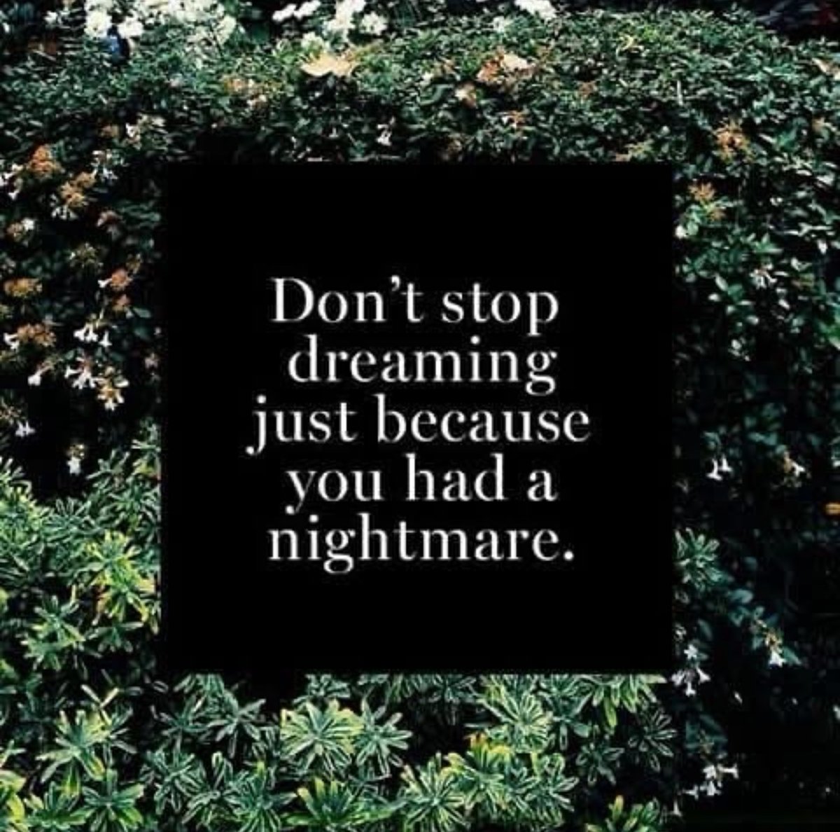 BerniceKing's tweet image. 👋🏾