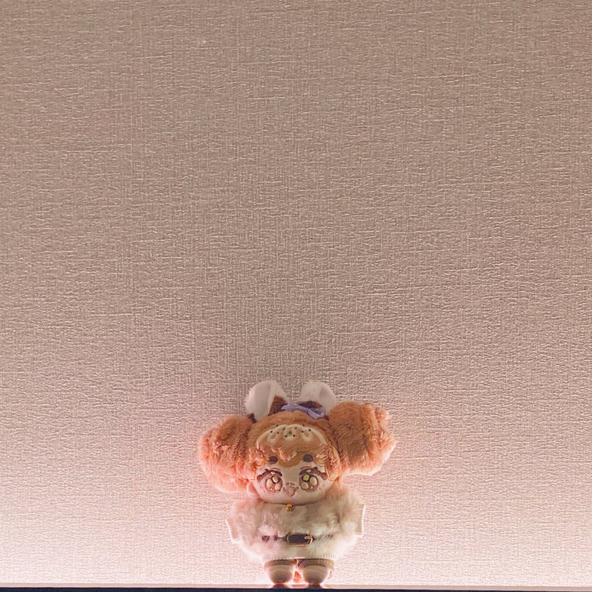 まうむ (@maumurecord) on Twitter photo 