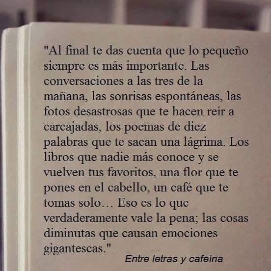“Eso es lo que verdaderamente vale la pena; las cosas diminutas que causan emociones gigantescas”. 👌🏻
