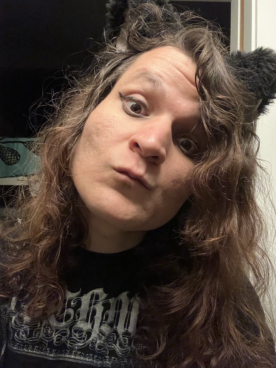 Laylinespost's tweet image. Cat stares at you menacingly &amp;gt;:3