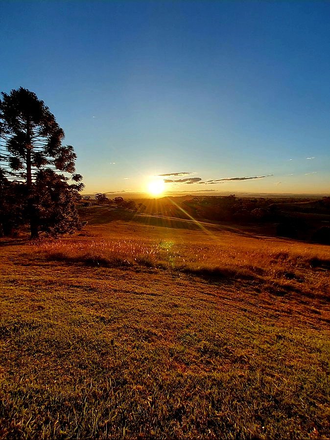 We didn't come here to survive. 
We came here to thrive. 
Vibrate higher.