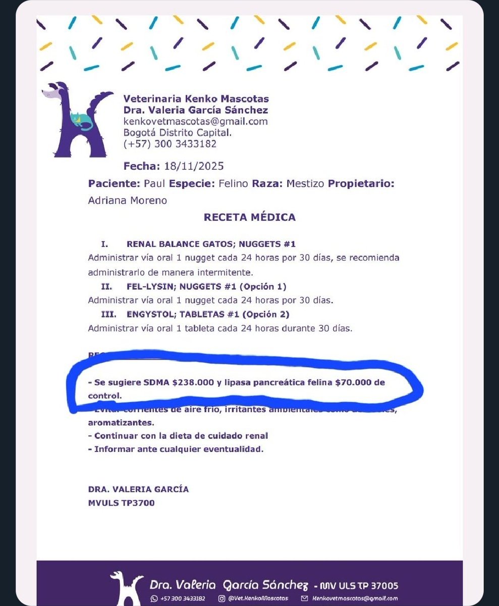 <a href="/Osli2025/">Adri 🐈🐕🐑🫏</a> <a href="/rokyton2018/">Máximo Fernández Rodríguez</a> <a href="/laadri2528/">Adriana</a> <a href="/adrianamercadoc/">Adriana Mercado Cruz</a> <a href="/madelenrod/">Made 🐾🐕🐈</a> <a href="/pattyko111/">Patricia ✨Borita 🐾 FundaciónLaPandillaAlRescate</a> <a href="/PedroHeliParra1/">Pedro Heli Parra</a> <a href="/maaaaaaisa/">+sa</a> <a href="/OlgaSanmartin7/">Olga Sanmartin</a> <a href="/fmtb2022/">fmtb</a> <a href="/Eliga14/">Eliga 🇱🇹🌴🇨🇦🍁</a> <a href="/marcuellar20/">Mar🌸</a> <a href="/flacagutierrez6/">ElizaG</a> <a href="/yeyecalisalsa/">@YEYEENSUSALSA</a> <a href="/trotaaa/">BELLOTA</a> <a href="/Tatacastroante/">Tata C. A.</a> <a href="/AvendanoMaryury/">Maryury Avendaño Castañeda</a> <a href="/mpdugarte1/">Mónica D</a> <a href="/annydiazgrana/">Ana Diazgranados</a> Se buscan 16 Angekes que donen 10.000 c/ u a Paul