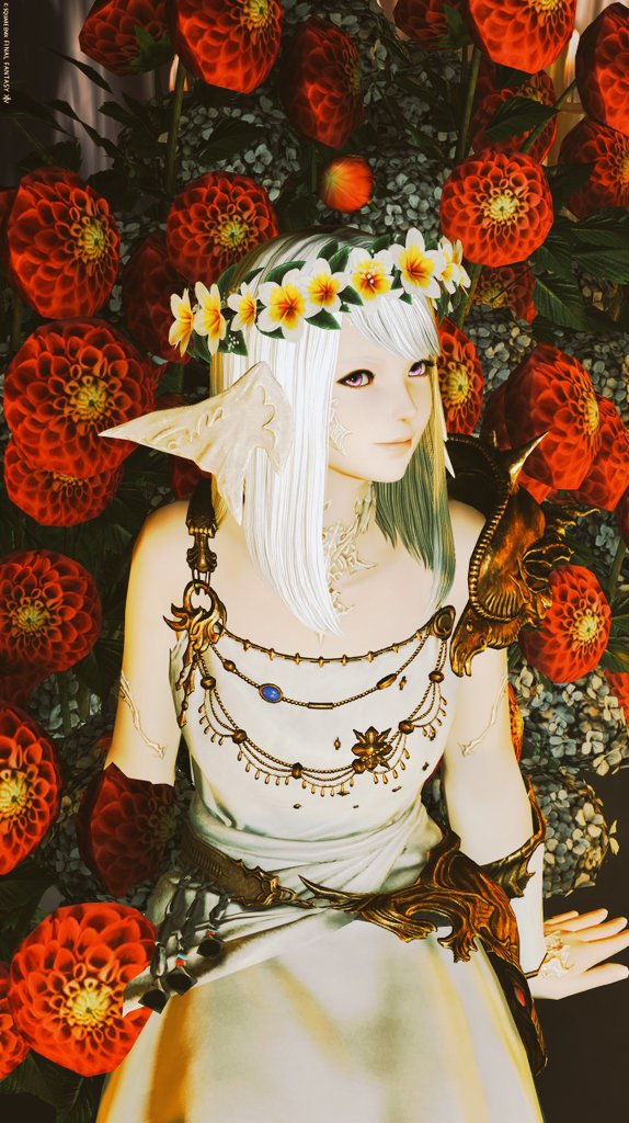 #おはウラ　#アウラ　#羽角普及委員会

おはようございます
穏やかな一日になりますように

寒くてちょっと体調不良
暖かくしてごろごろしちゃおっと✨