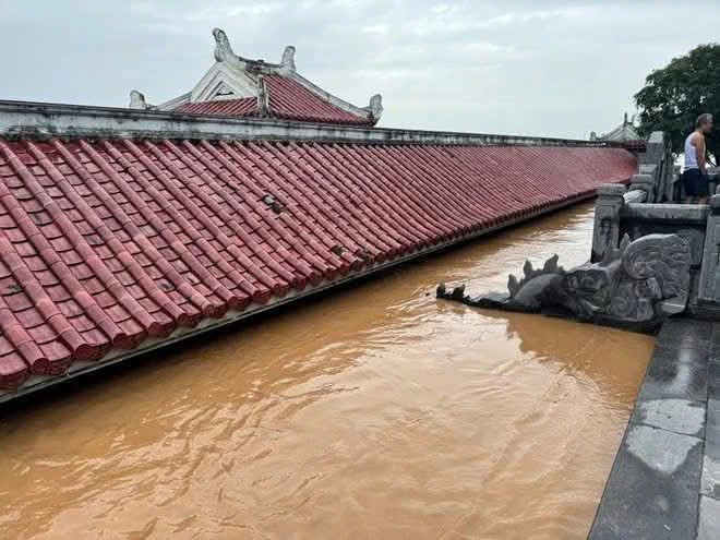 Steven Nguyen tweet media