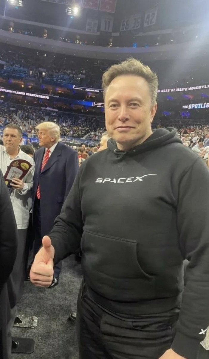 DogeDesigner tweet media