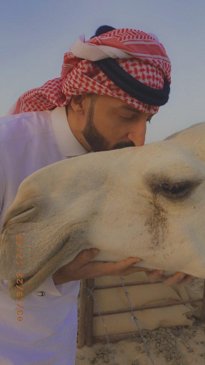 محمد tweet media