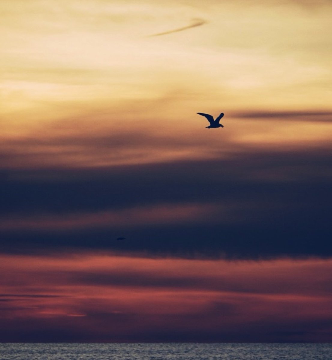 lightand_life's tweet image. Staying grounded by natural beauty….. 
#CapeCod