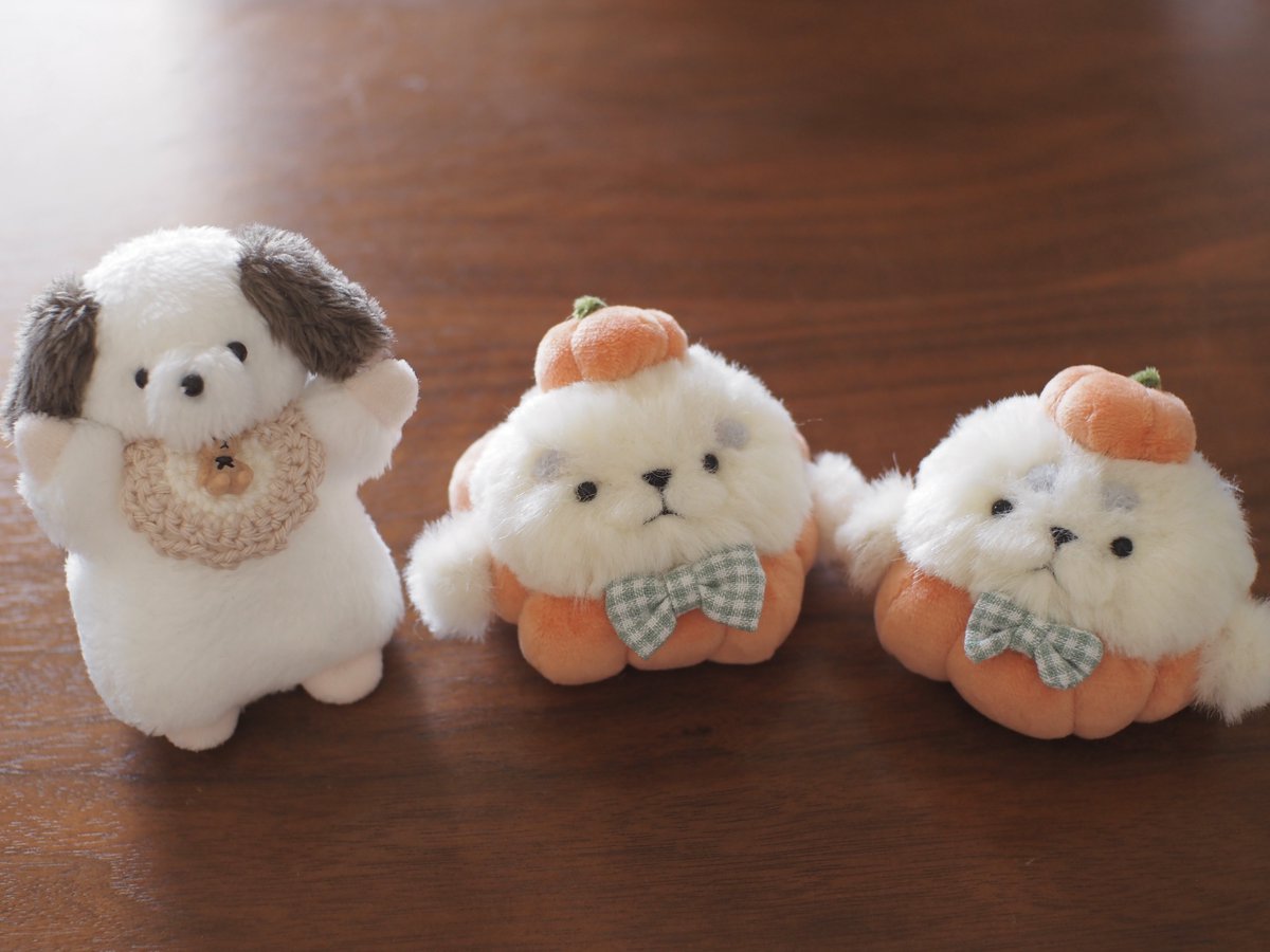 ポッちゃんバンザイしてるからいつも元気にｲｪｱｰしてるかんじに私には見えており、かわいい☺️特にノってないかんじのきりはのちゃんたちもかわいい☺️