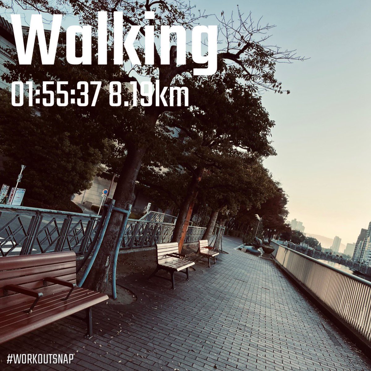 朝ウォーキング🚶☀️

あといくつだろう
どれだけだろう
なにをすればいいだろう
やっておけばよかった
すべて未完全
想定の中
考えても考えても
同じ日々などないのだから

#ウォーキング
#朝活