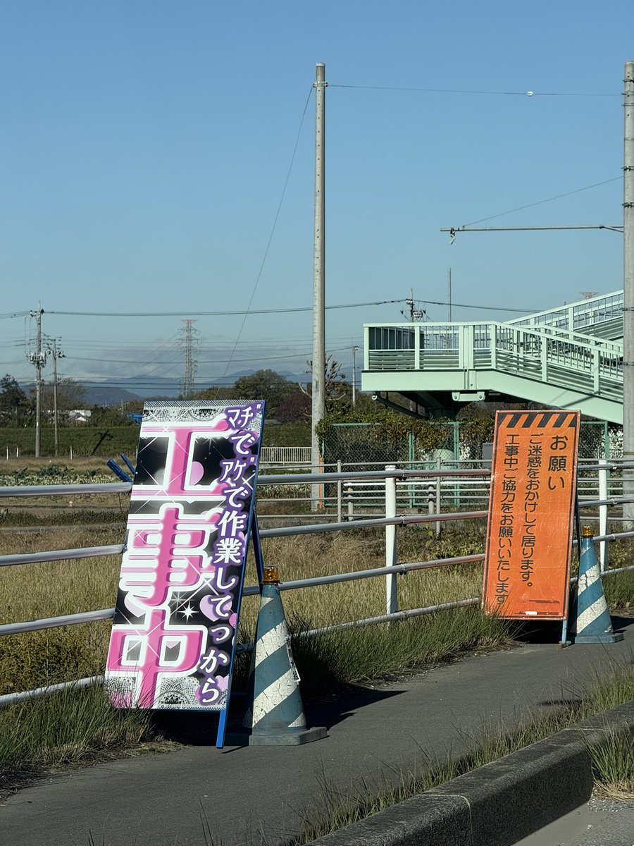 chantsuru_aqua's tweet image. とても茨城県