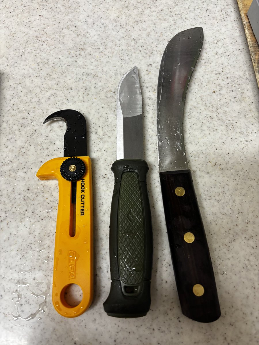 araithehunter's tweet image. 明日初めての地域で初めましての猟隊に従事するのでとりあえずナイフだけ研いでおいた。お弁当持ってきてねーだって。楽しみ。