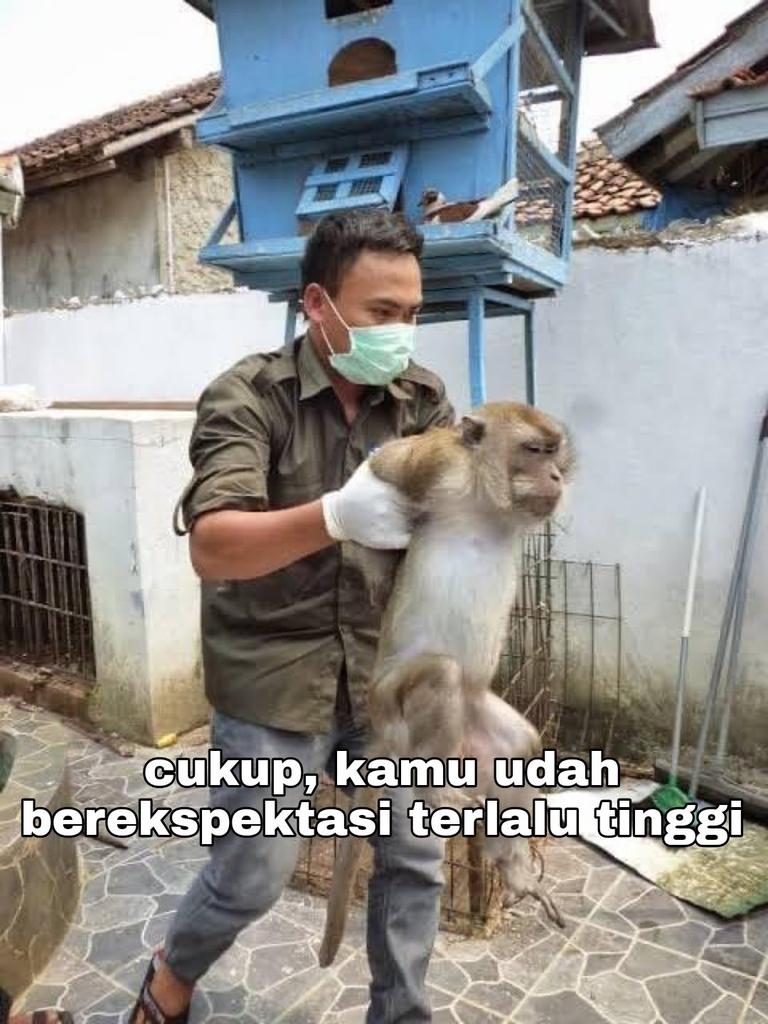 tukangtahugoib's tweet photo. @qrivasi https://t.co/tFfmUUrM3I