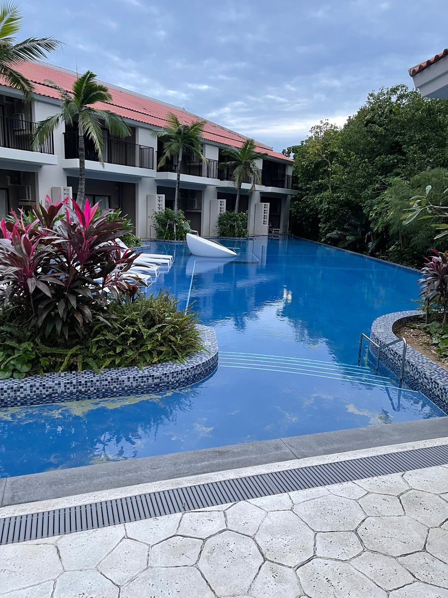 Mrcryptoxwhale's tweet image. Can i get a GM? ☀️ 

This is where i’m tweeting from today