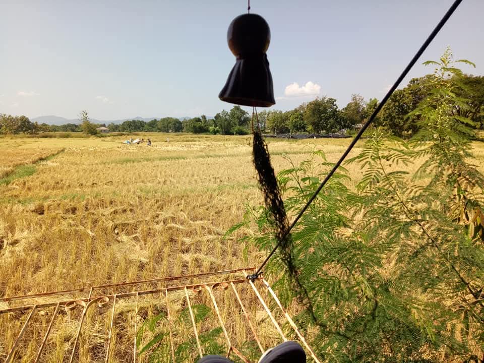 วันเสาร์เหงาต่อไป #รับงานสีชมพู ช่วงนี้ไม่รับนวดนะเจ็บมือจ้า 0636437402