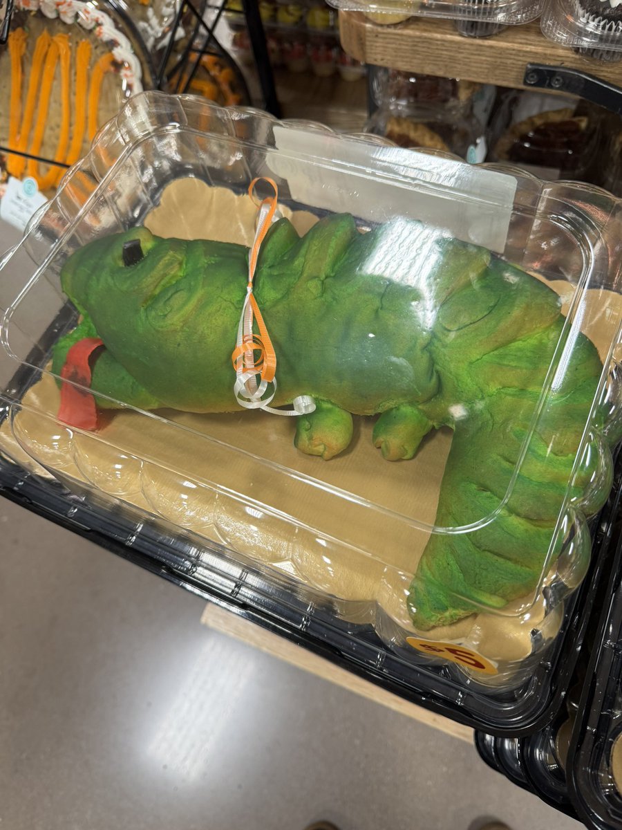 elizabeth richardson ✨is agented✨ tweet media