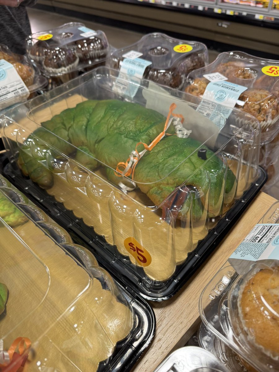 elizabeth richardson ✨is agented✨ tweet media