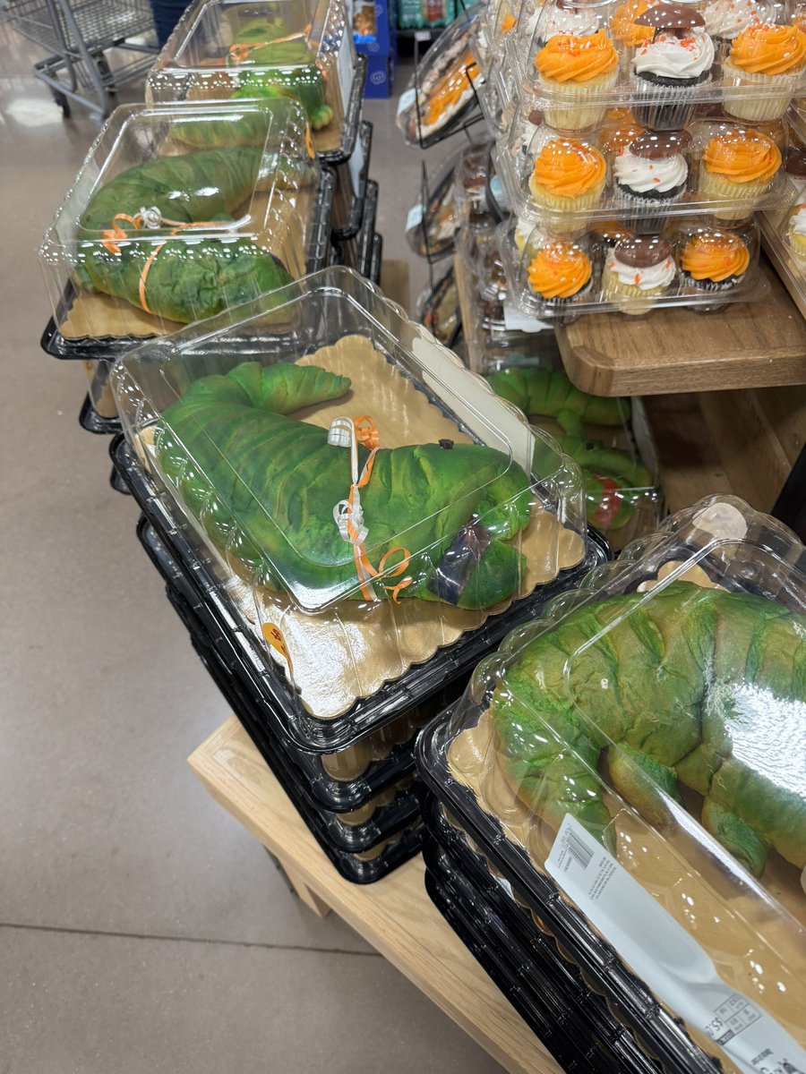 elizabeth richardson ✨is agented✨ tweet media