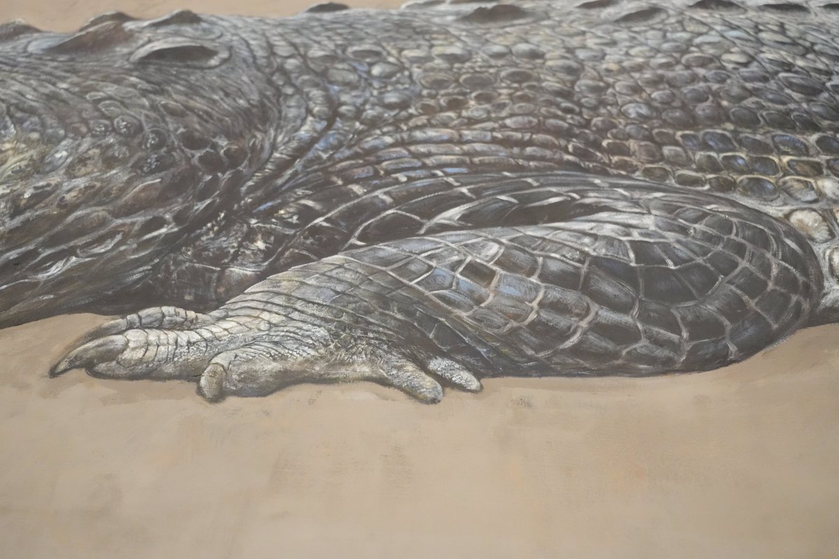 🏛️#かはくの裏側 をご紹介🏛️ ただいま、11月26日(水)からはじまる