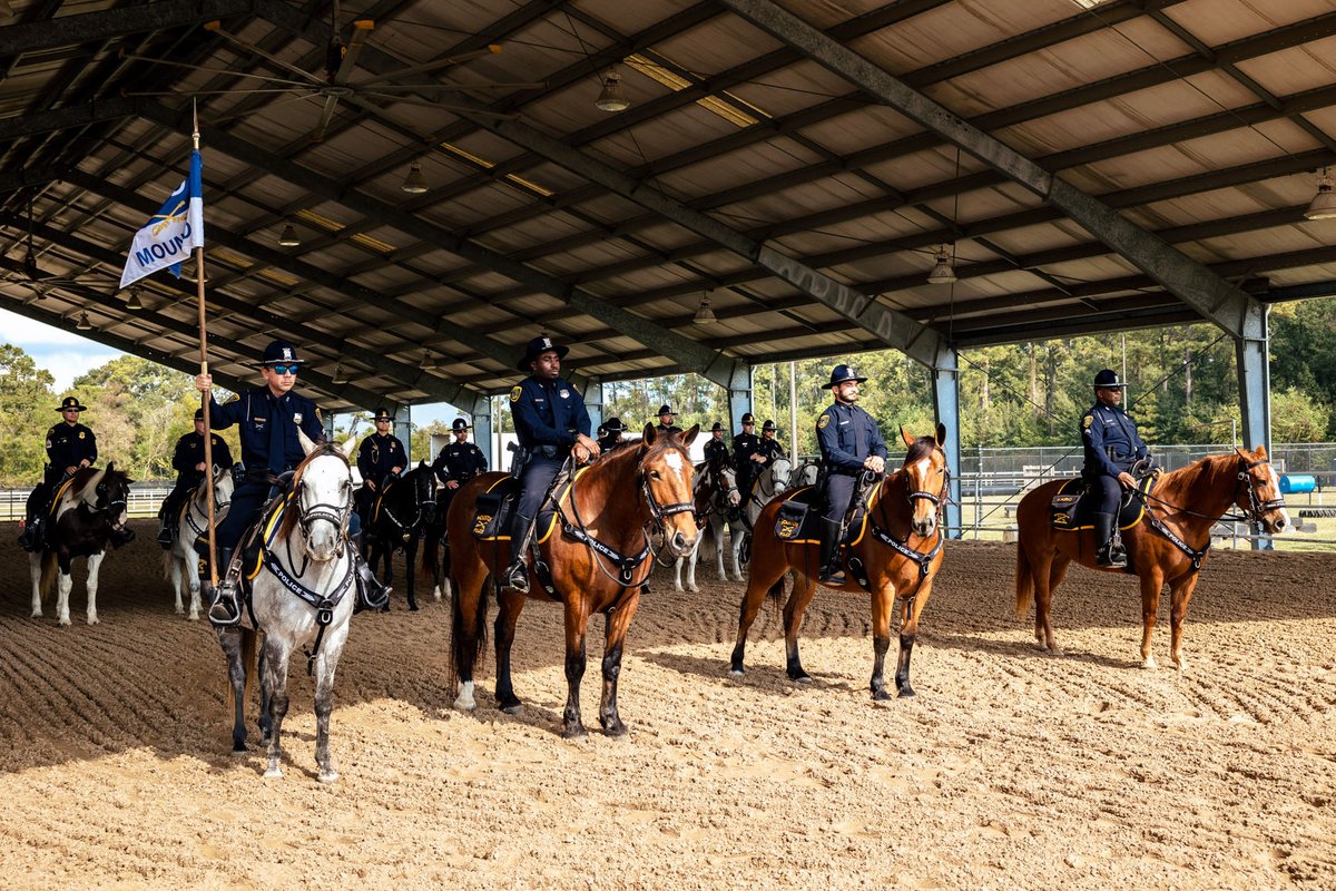houstonpolice's tweet image. Congratulations to HPD’s newest Mounted Patrol graduates. After weeks of training, they’re ready to ride with the best.

Interested in joining HPD’s Mounted Patrol or exploring other career opportunities? Visit HPDCareer.com
#BeTheBlue #BeHPD