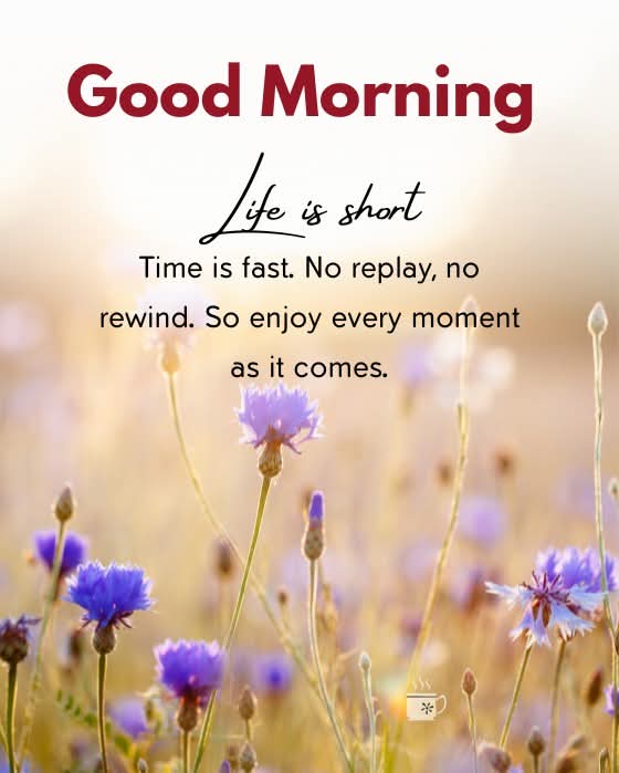 MOHDIMR1994's tweet image. दूसरों को कमजोर बनाने
 से आप खुद कभी शक्तिशाली नहीं बन सकते 🌺🍀✨

Saturdays are for self-care and soft moments 🌿🛋️ CozyWeekend #RelaxMode 🎋🌲🌿