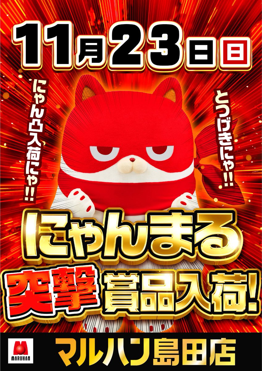 にゃんまる 明日11月23日（日）の来店ﾆｬ😺 浜松中央店 藤田みさ @mi_xovo_m 浜松泉