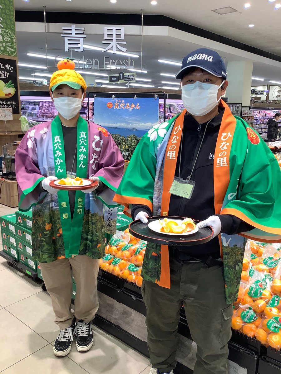 あっという間に、みかんの時期🍊 今年も、赤いシールが目印の#真穴