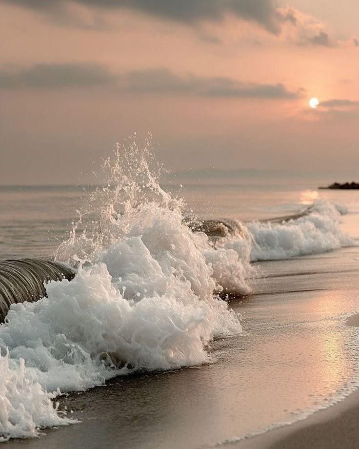 Aprendí que, a veces, la verdadera victoria no está en lo que logras, sino en lo que eliges dejar atrás. En lo que ya no repites,en lo que ya no permites, y en todo lo que decides soltar para elegirte, esta vez...a ti.
#FelizNoche 💫✨