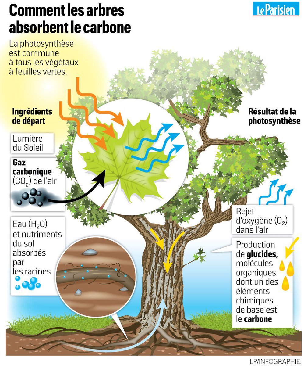 JulietteMiss46's tweet image. Ah non? C&apos;est quoi alors le &quot;problème&quot; avec le CO2?🙄🤦‍♀️
#HelpUs
#Endoctriné
#ClimateScam