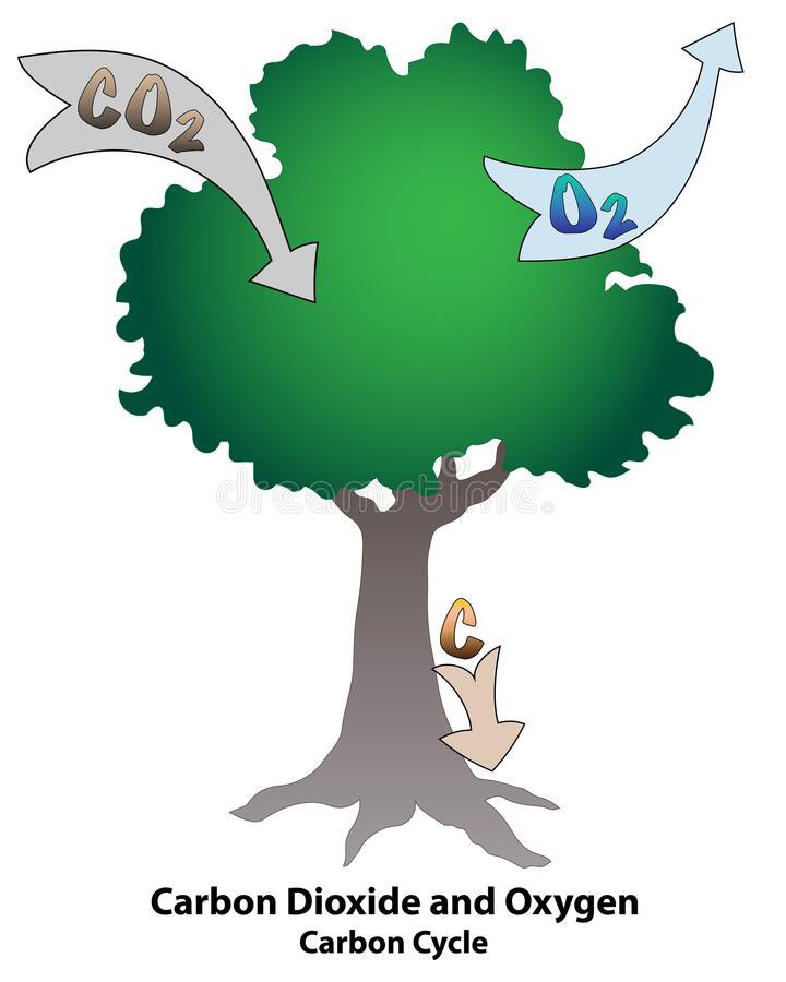 JulietteMiss46's tweet image. Ah non? C&apos;est quoi alors le &quot;problème&quot; avec le CO2?🙄🤦‍♀️
#HelpUs
#Endoctriné
#ClimateScam