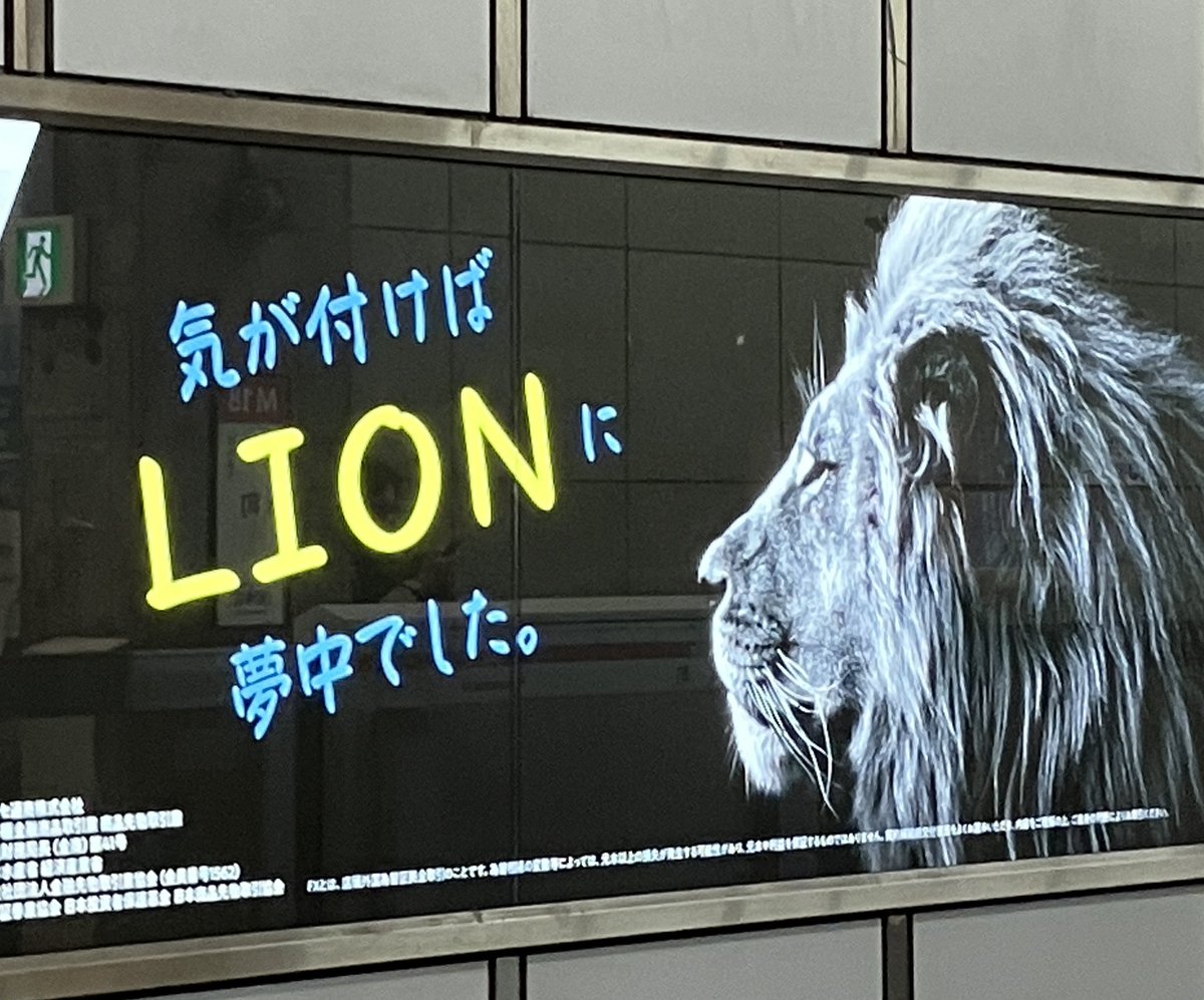 しばライオンページ おうちでZOO「ライオン」 - YouTube