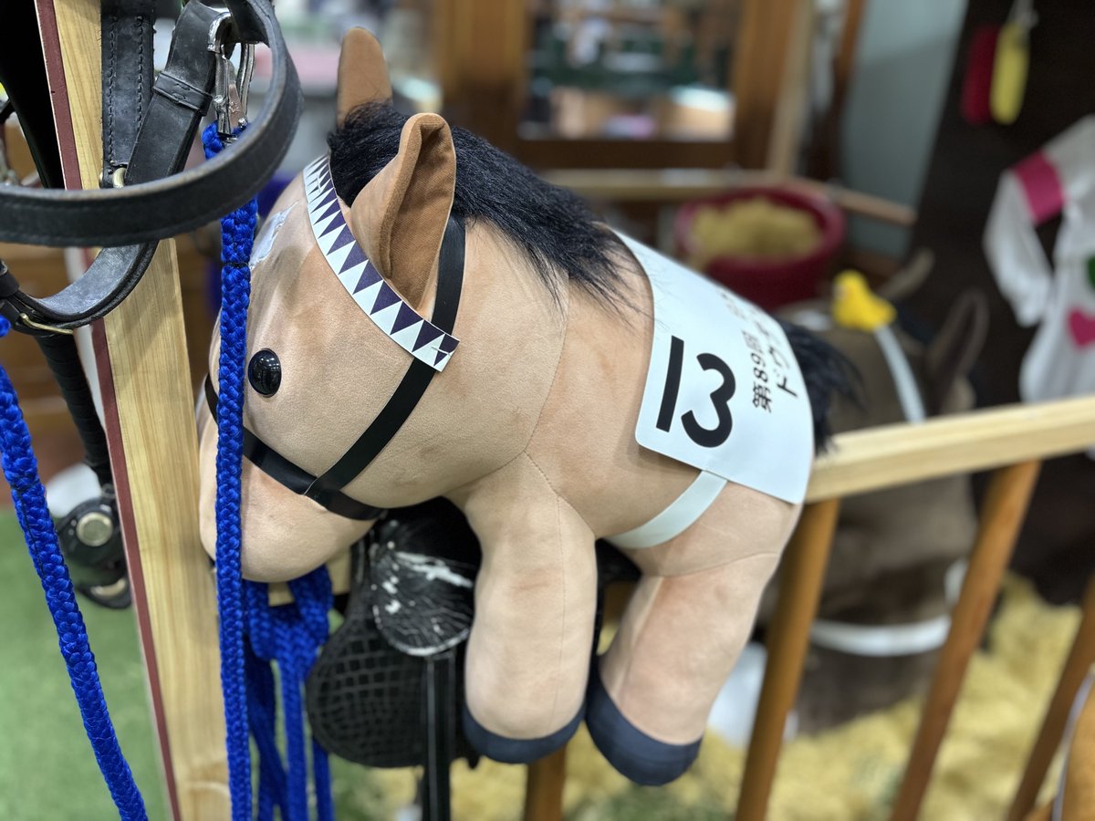 福島競馬場 今日は朝から柵の上でぐで〜っとしているデカもっち