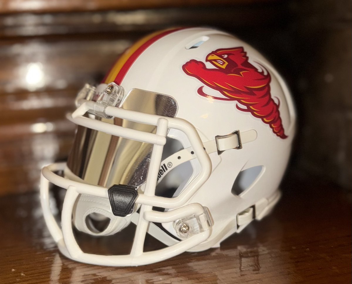 Matthewson’s Mini Helmets tweet media