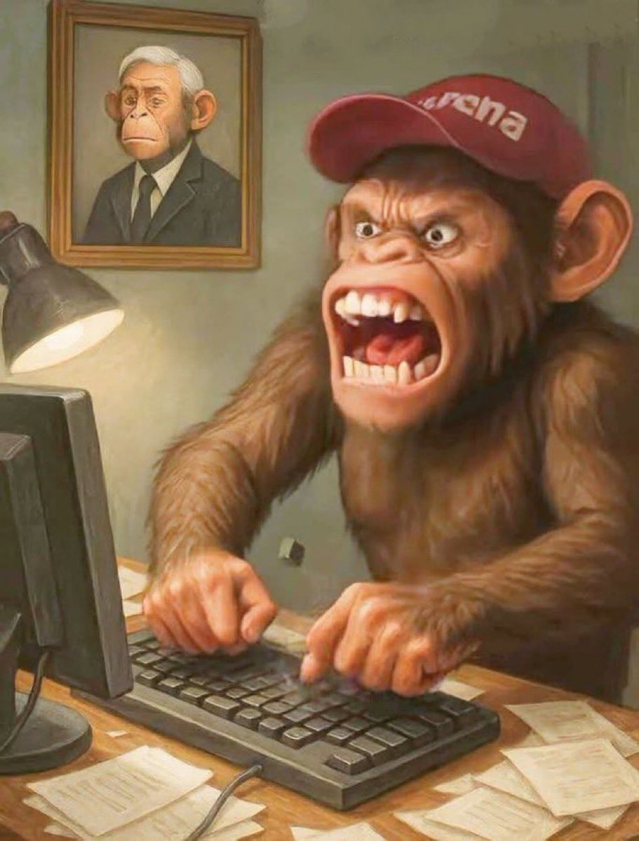 AlfredoGL98's tweet photo. @marianovvmm @eltemagv https://t.co/JzvA7SjWvH