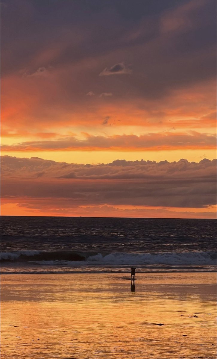 After all that rain, the sky came back with a masterpiece.