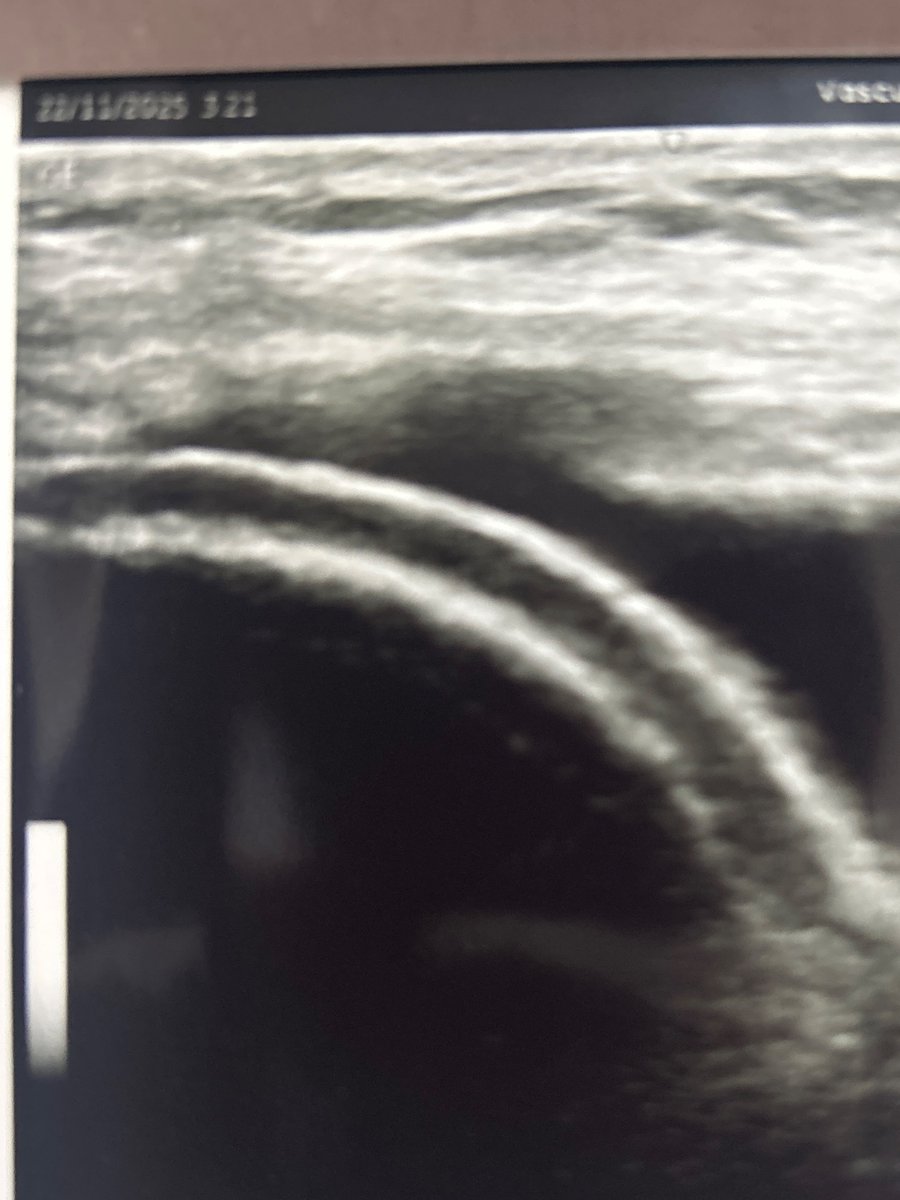 Mexican Ortho tweet media