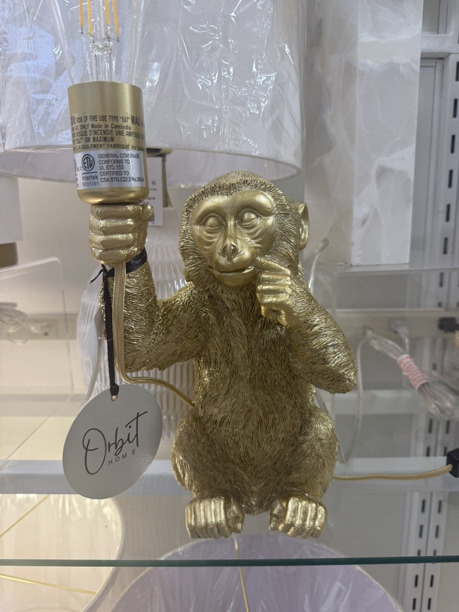 Rectrixx_'s tweet photo. This lamp might be my worlds greats find👀 https://t.co/avEleXpUVk