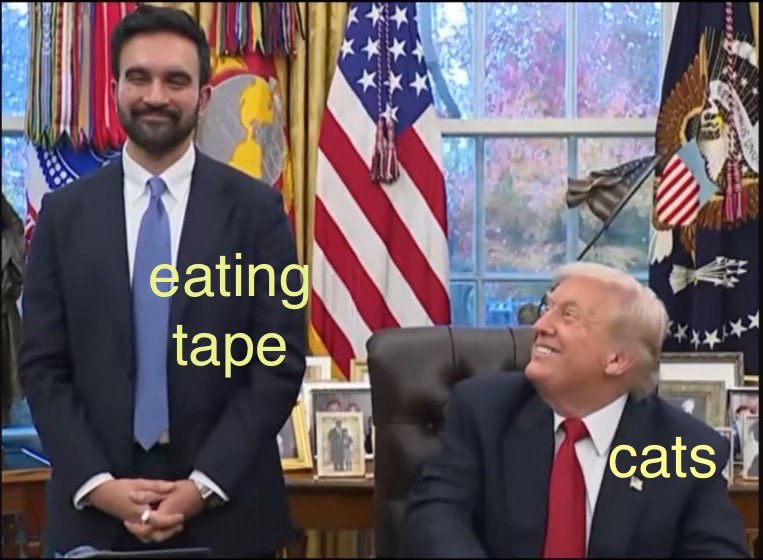 Jorts (and Jean) tweet media