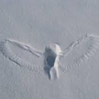 plottttwisttttt's tweet image. 🔜 🧊