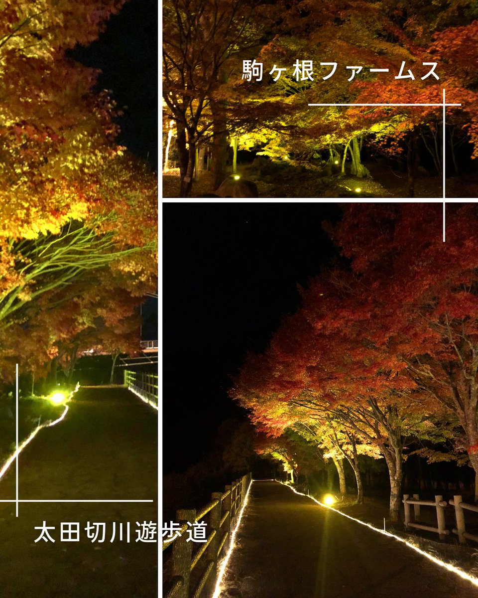 【こまくさ橋 紅葉ライトアップ終了のお知らせ】
たくさんのご来場ありがとうございました！
駒ヶ根高原「こまくさ橋」周辺の紅葉ライトアップは、11月21日(金)をもって終了いたしました。落葉と夜間凍結の恐れがあるため、安全を考慮し終了を早めました。
また来年、美しい景色でお会いできますように