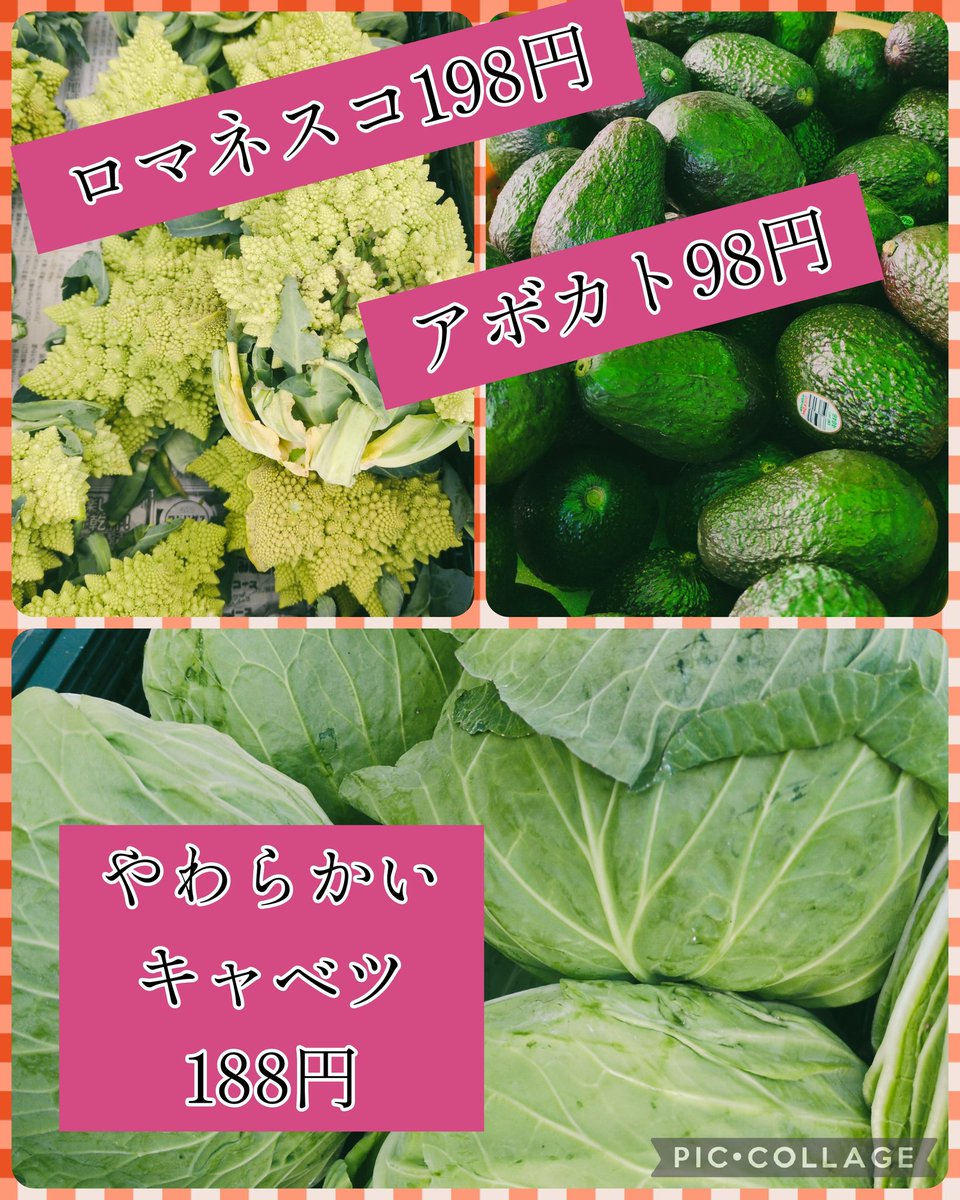 2025/11/22 おはようございます😊 今日も元気な中ちゃんです