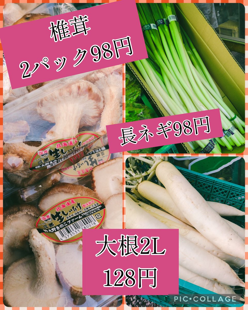 2025/11/22 おはようございます😊 今日も元気な中ちゃんです