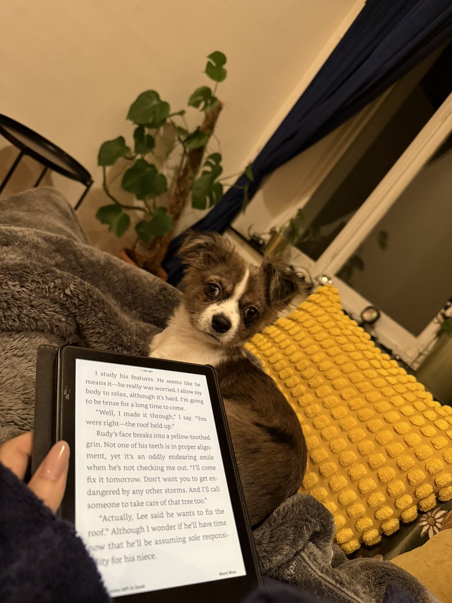 ZennerMaria's tweet image. Happy to be home… Sad for missing the last days of #DevConnect 🩷