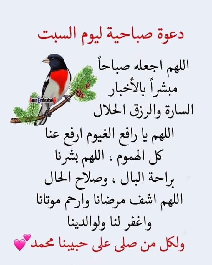 "اللهم عافية وراحة بآل ويوم جميل اللهم صباح لا يمسنا فيه سوء."

صباح الرضا🍂🧡
#صباح_الخير