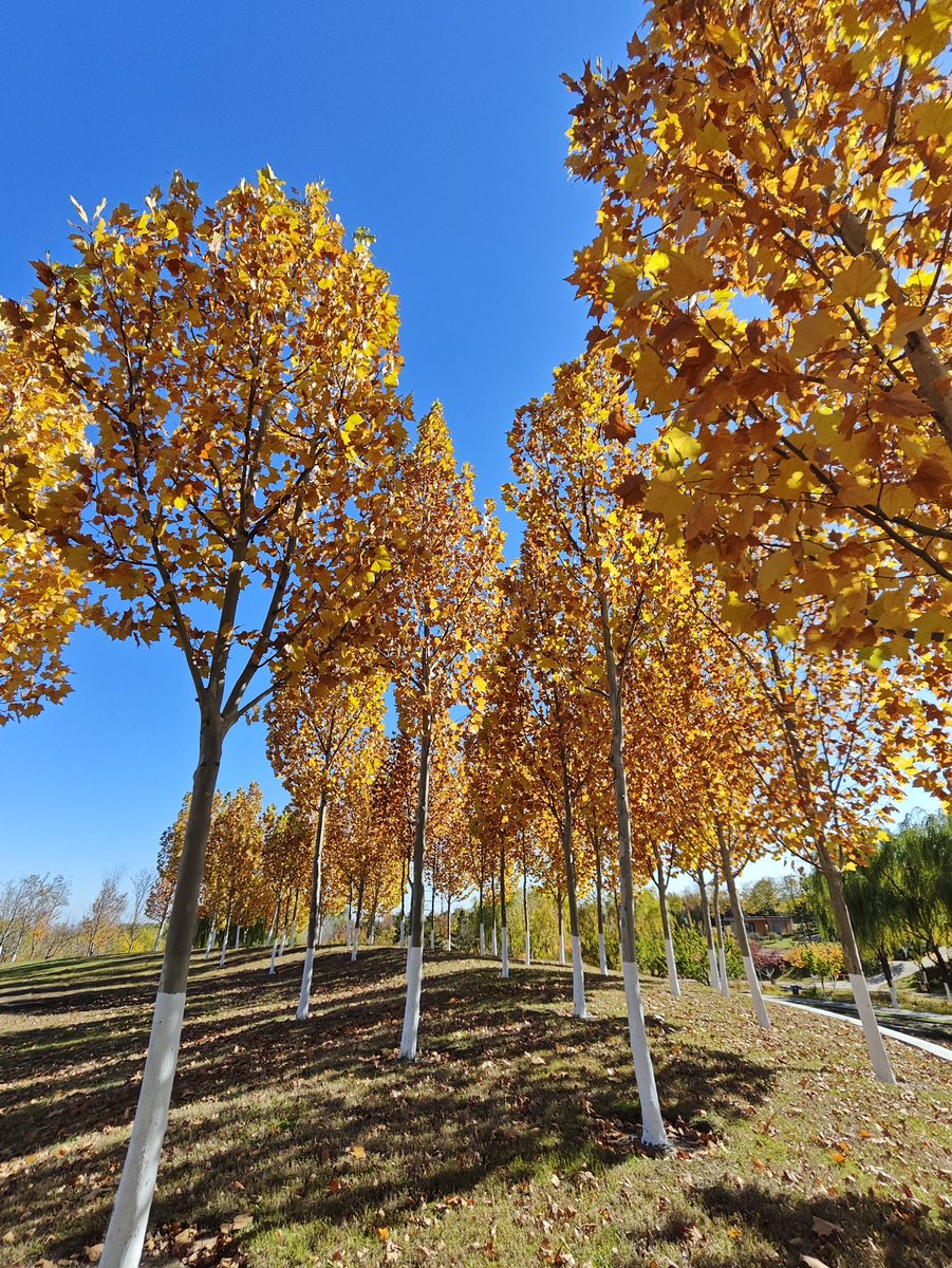 david_andrew123's tweet image. I lose myself in it😊😊😊😌😌😌