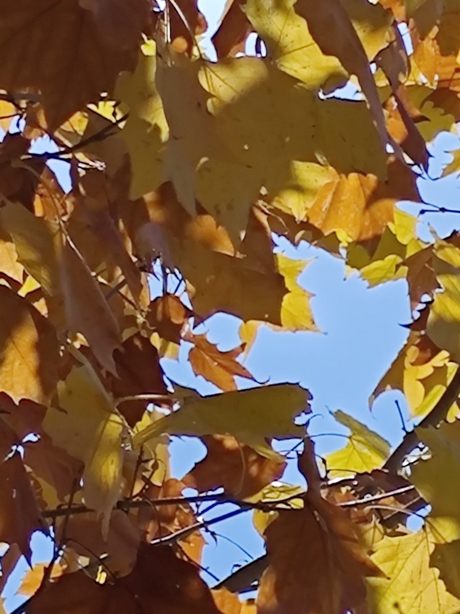 david_andrew123's tweet image. I lose myself in it😊😊😊😌😌😌