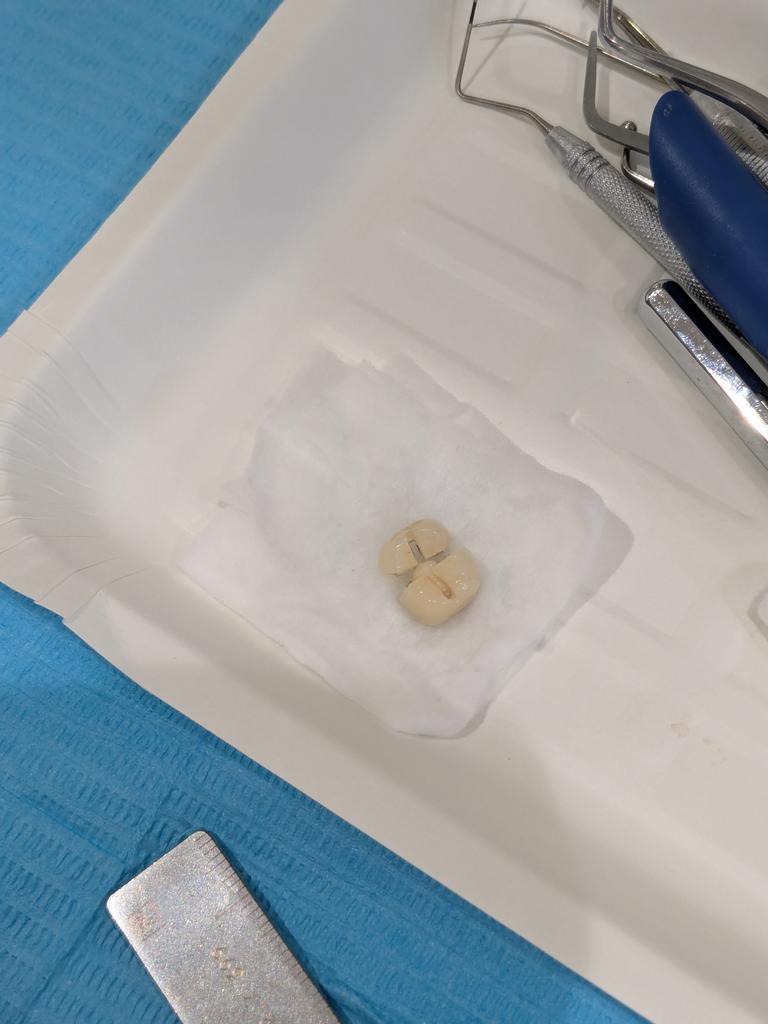 さいこ🪴派遣ナースの割り切り術 tweet media