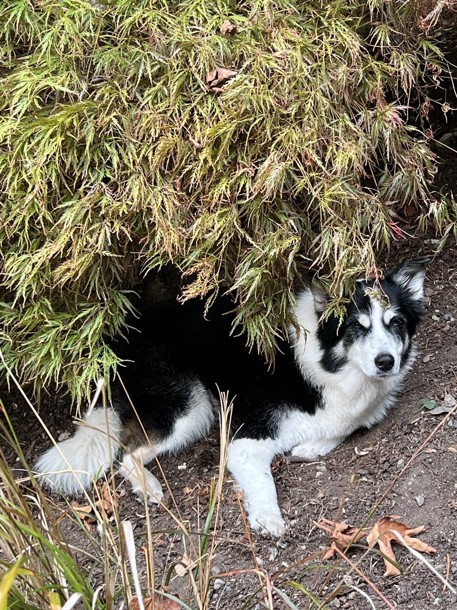 Rip Darby. Body bag. I’m sorry. You were my only friend